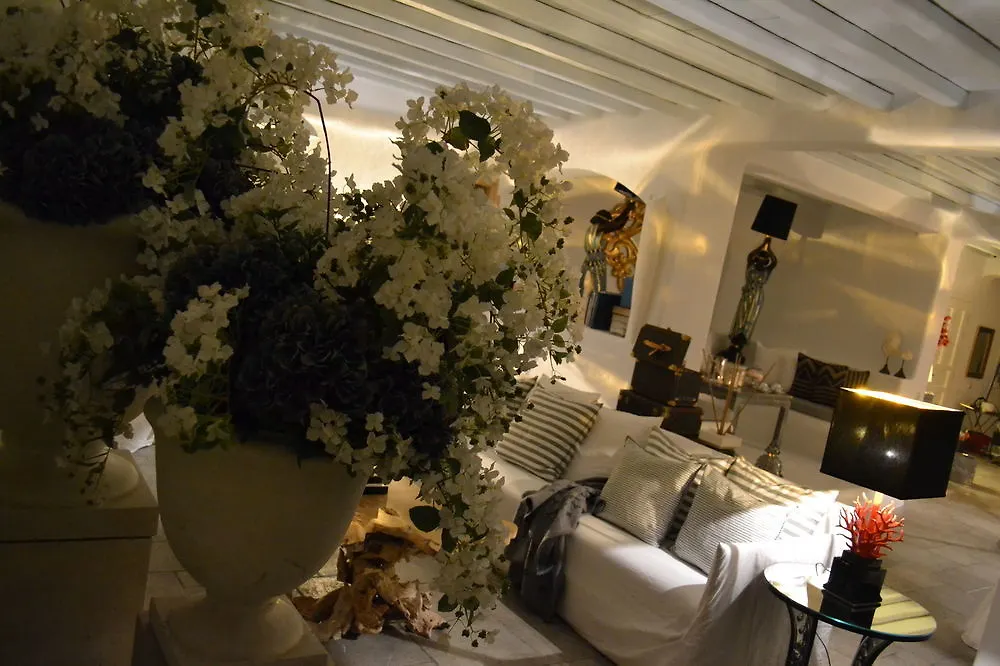 Mykonos Crystal Resort Fanari  Fanari (Mykonos)